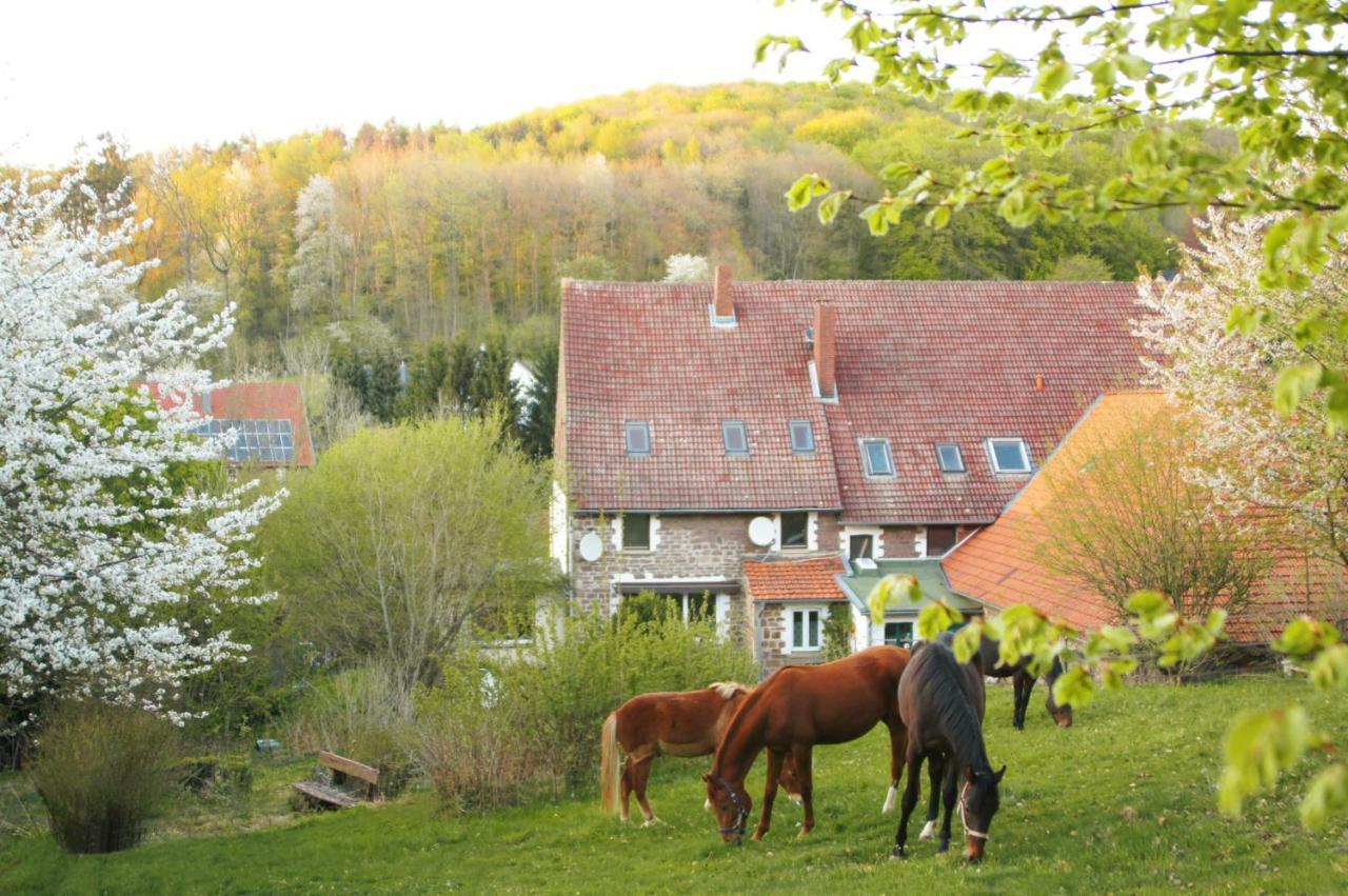 Eichenhof Kalletal Экстерьер фото
